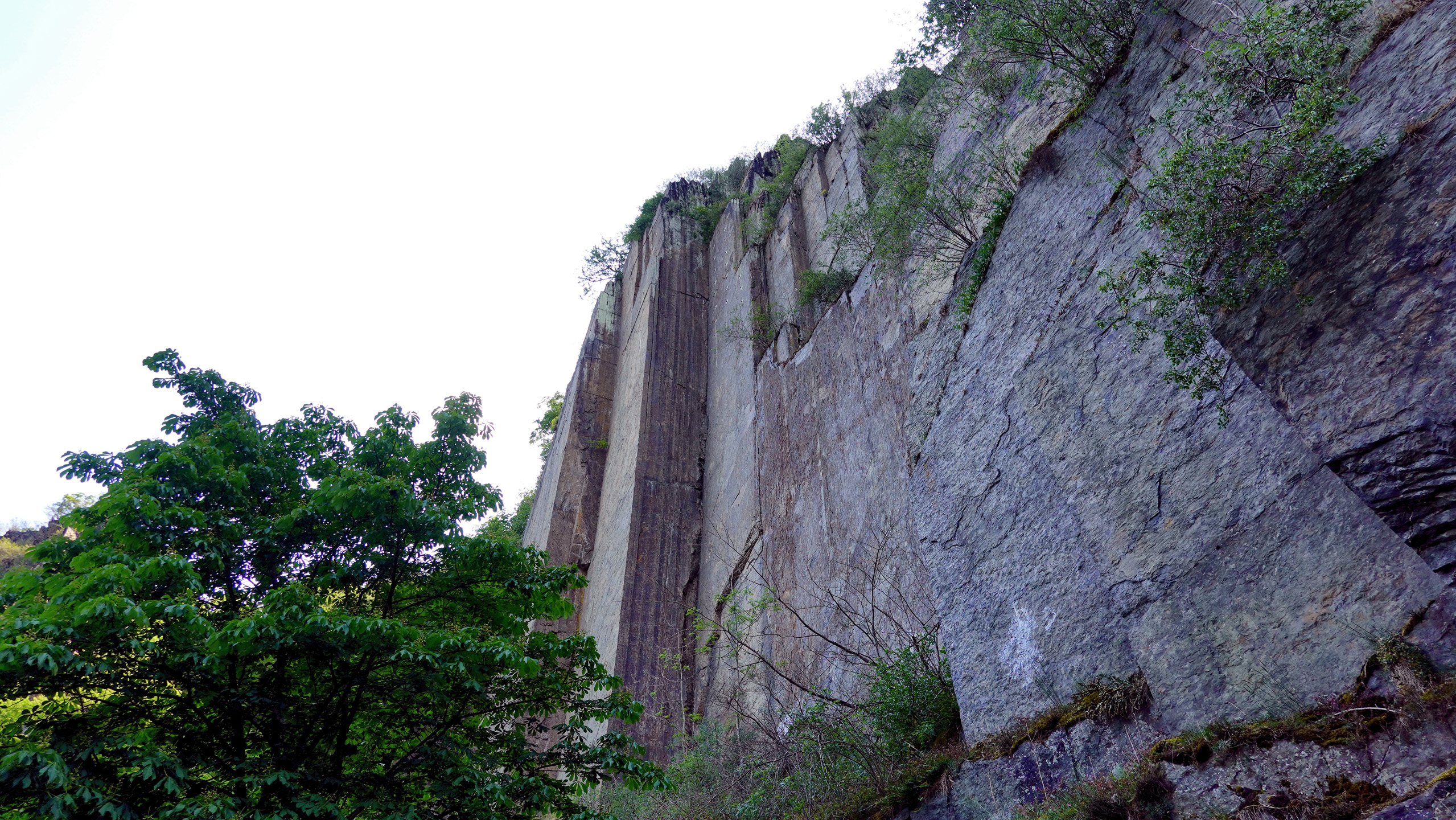 Schieferfelsen der Engelsley bei Altenahr